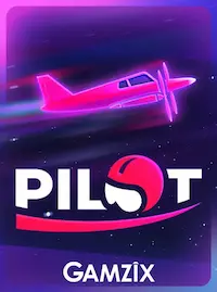 Pilot crash at 5N5N COM